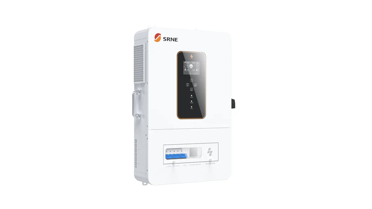 SRNE ABP48100U200-H Inverter (photo 3)