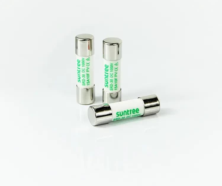 20A Ceramic Fuse